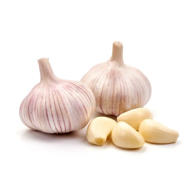 Чеснок крупный 1 кг - купить в Смоленке