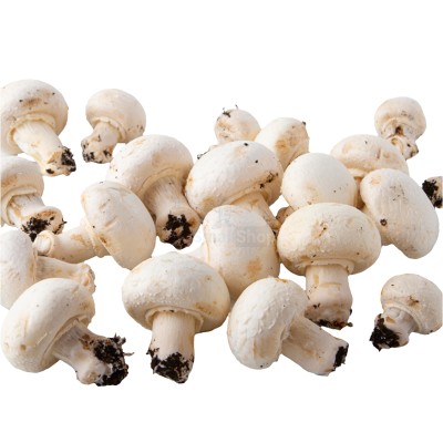 Шампиньоны свежие 500 г - купить в Смоленке